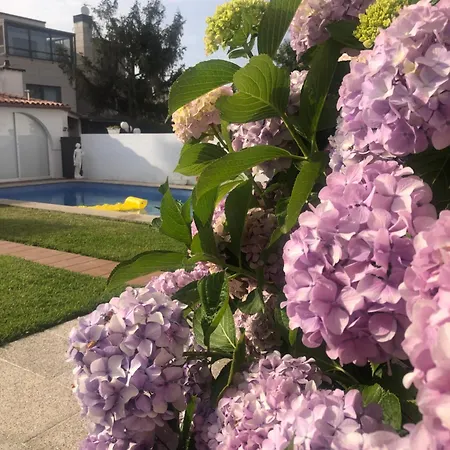 アパート Cova Dos Frei ヴィーゴ