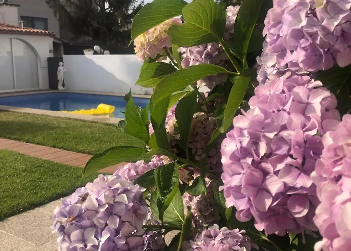 Apartmán Cova Dos Frei Vigo